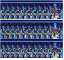 Load image into Gallery viewer, Enchanted  DVD
