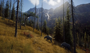 Hunter Online Games