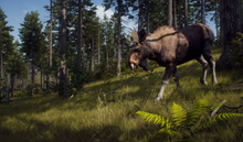 Load image into Gallery viewer, Xbox Series X Used
