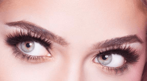 Andrea EyeLashes Black 33 Strip– Natural Volume, 1 Pair - Happy Bargain Bin
