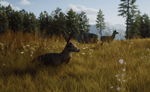 Load image into Gallery viewer, Way of The Hunter - Xbox Series X - Used | Hunter Online Games - Happy Bargain Bin
