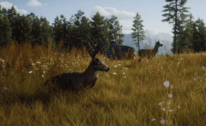 Way of The Hunter - Xbox Series X - Used | Hunter Online Games - Happy Bargain Bin