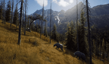 Load image into Gallery viewer, Way of The Hunter - Xbox Series X - Used | Hunter Online Games - Happy Bargain Bin
