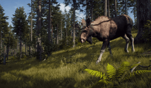 Load image into Gallery viewer, Way of The Hunter - Xbox Series X - Used | Hunter Online Games - Happy Bargain Bin
